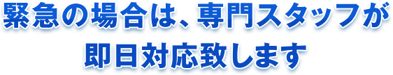 緊急の場合は、専門スタッフが即日対応致します